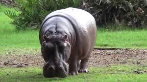 Mombasa Highlights 24 Hour Itinerary