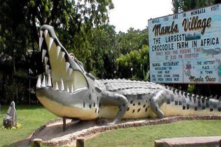 Mamba Village Centre