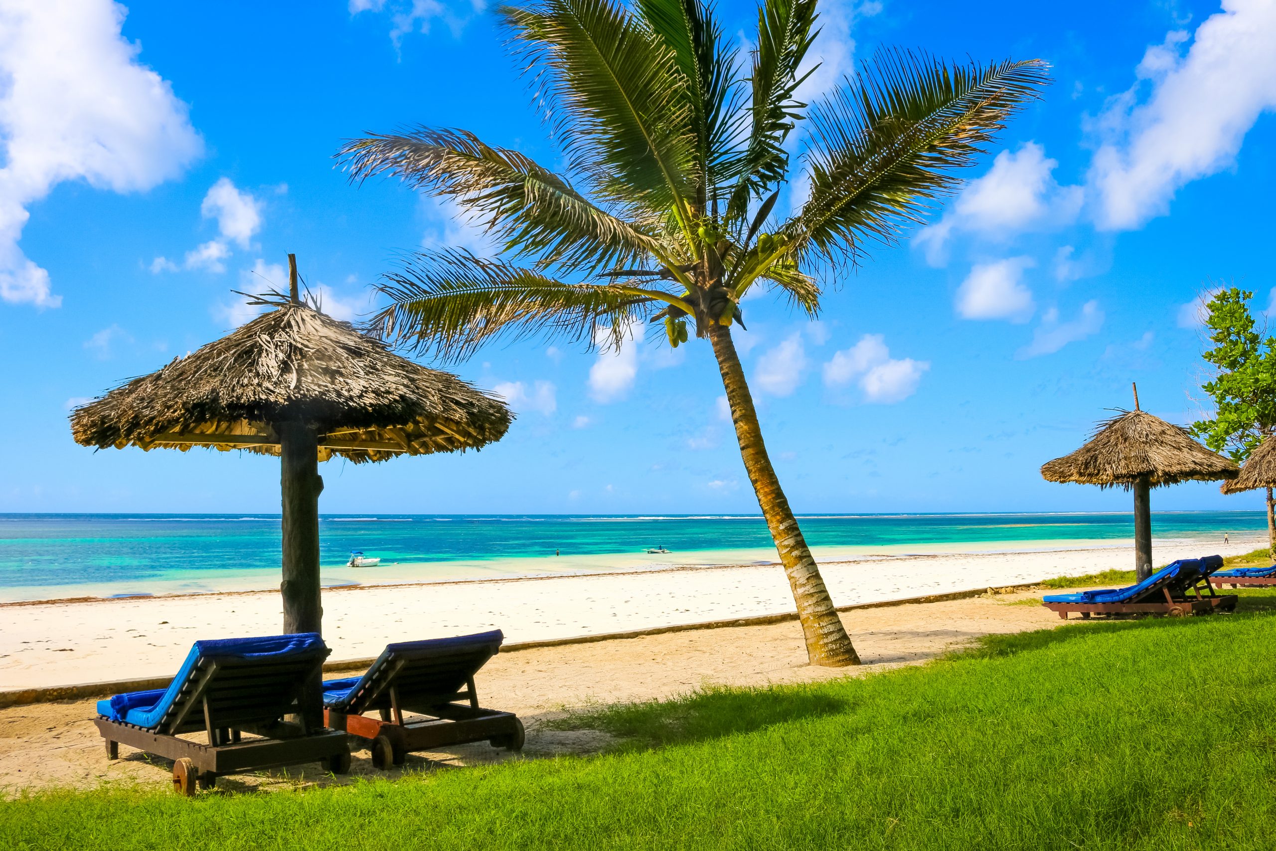 Diani, Kenya: Your Complete Guide 2024