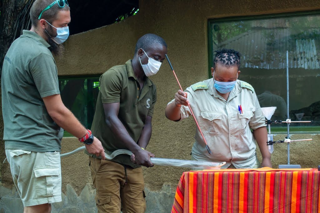 Watamu Snake Farm
