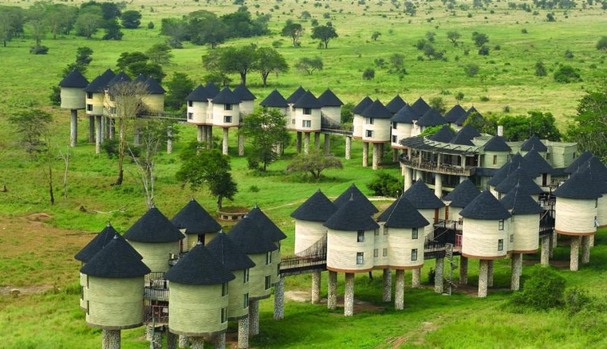 Salt Lick Safari Lodge