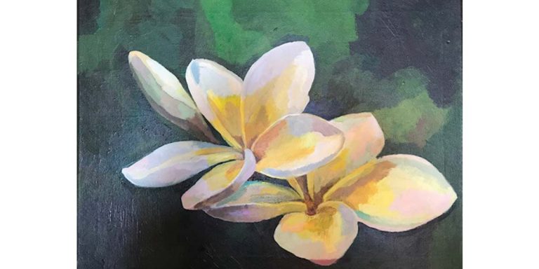 frangipani