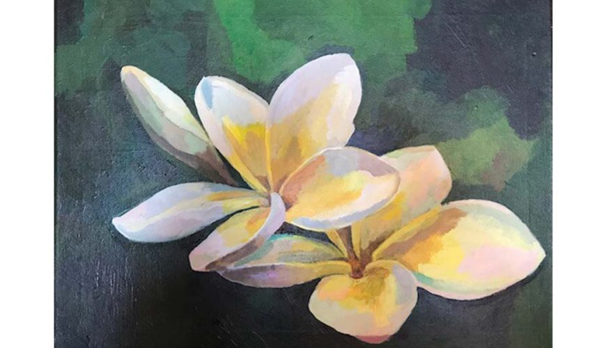 frangipani