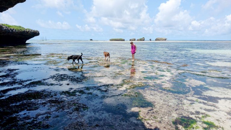 Watamu
