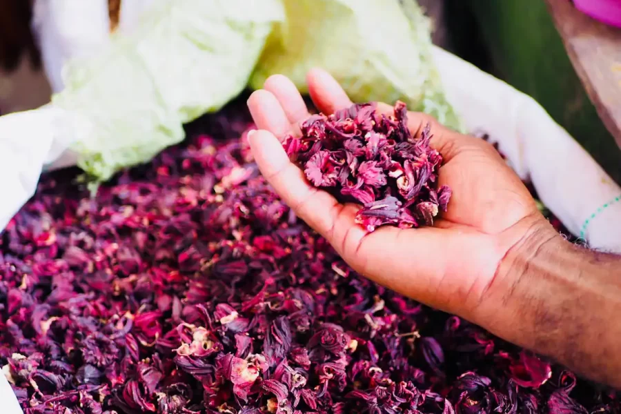 Cook Swahili cuisine with a local