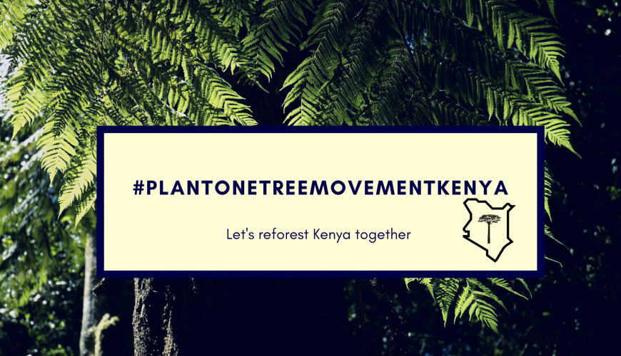 The Plant One Tree Movement Kenya