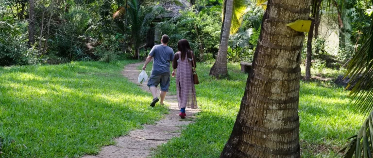 Discover the beauty of nature at Bamburi Forest Trails, located along Mombasa-Malindi highway.