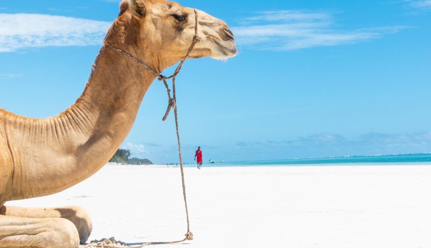 Diani Beach