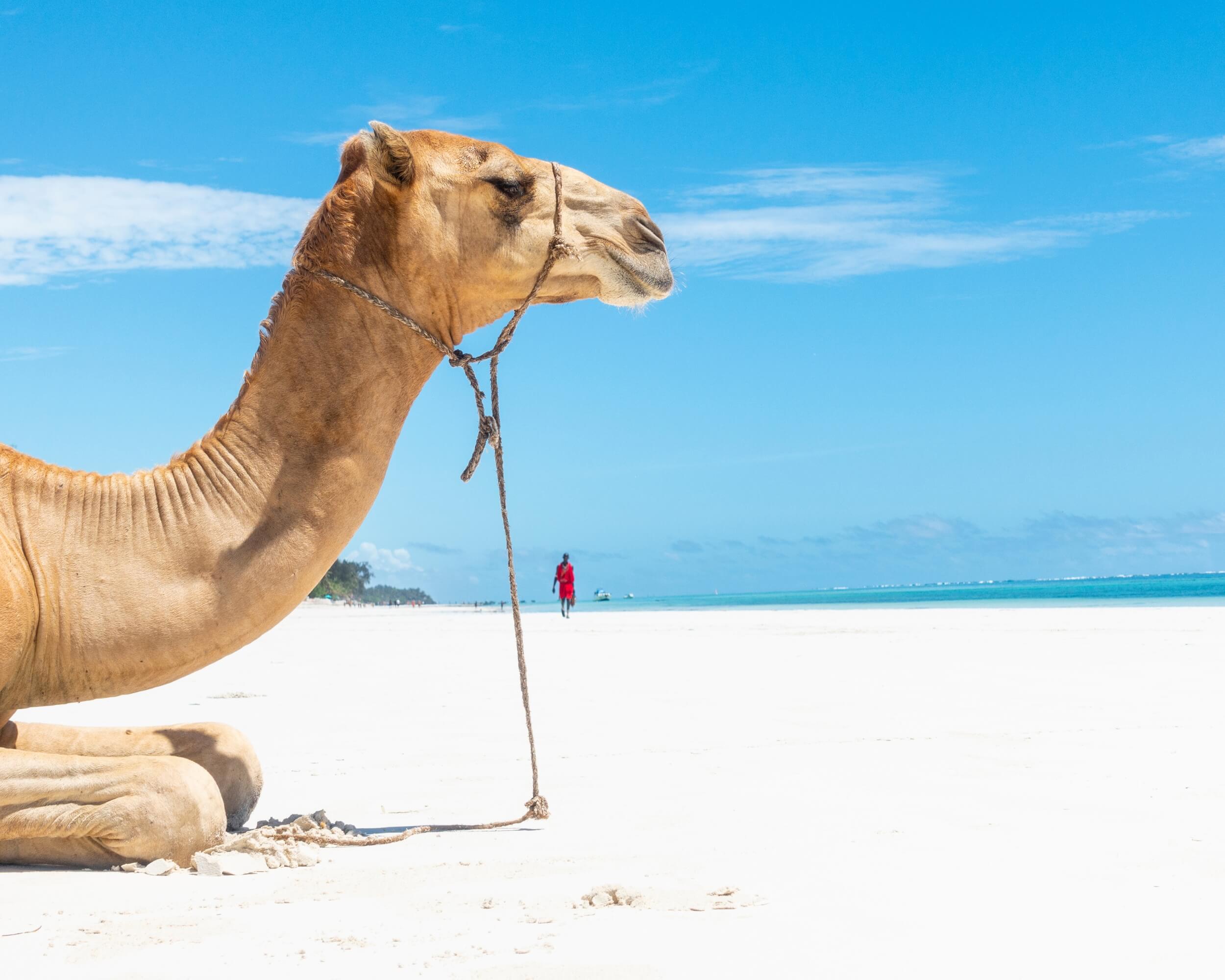 Diani Beach