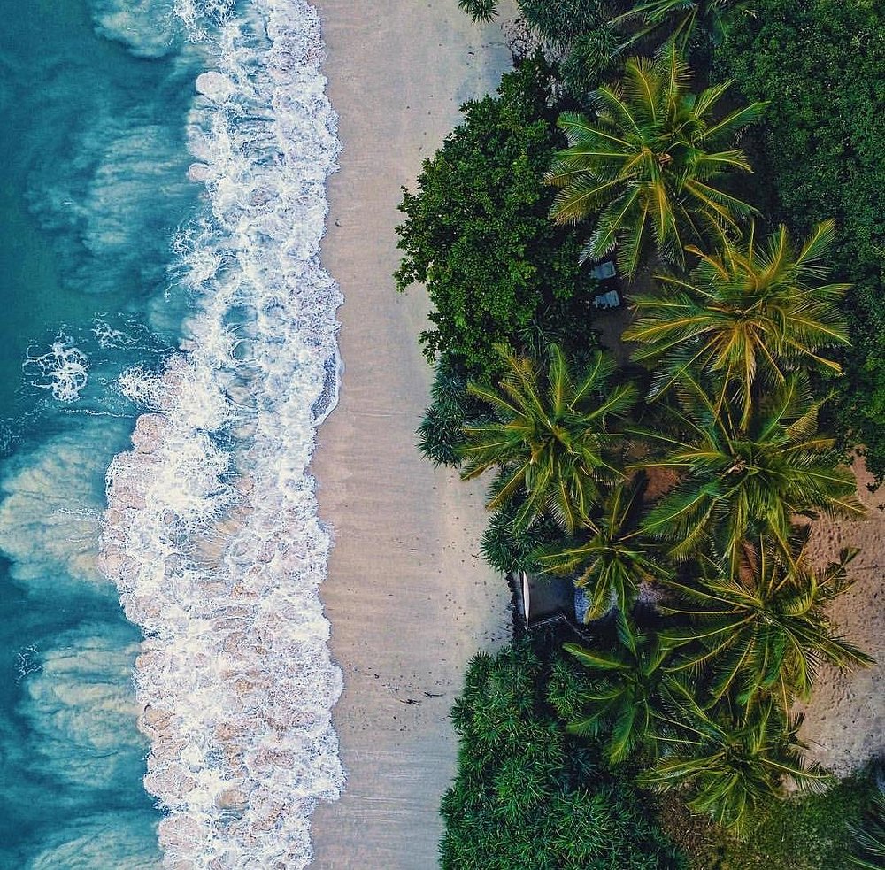 Msambweni Beach