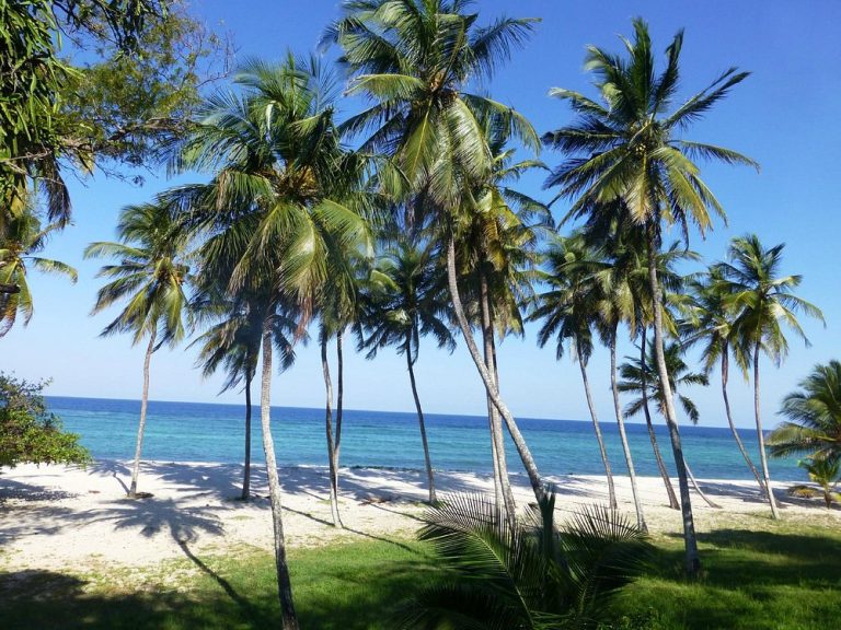 Tiwi Beach