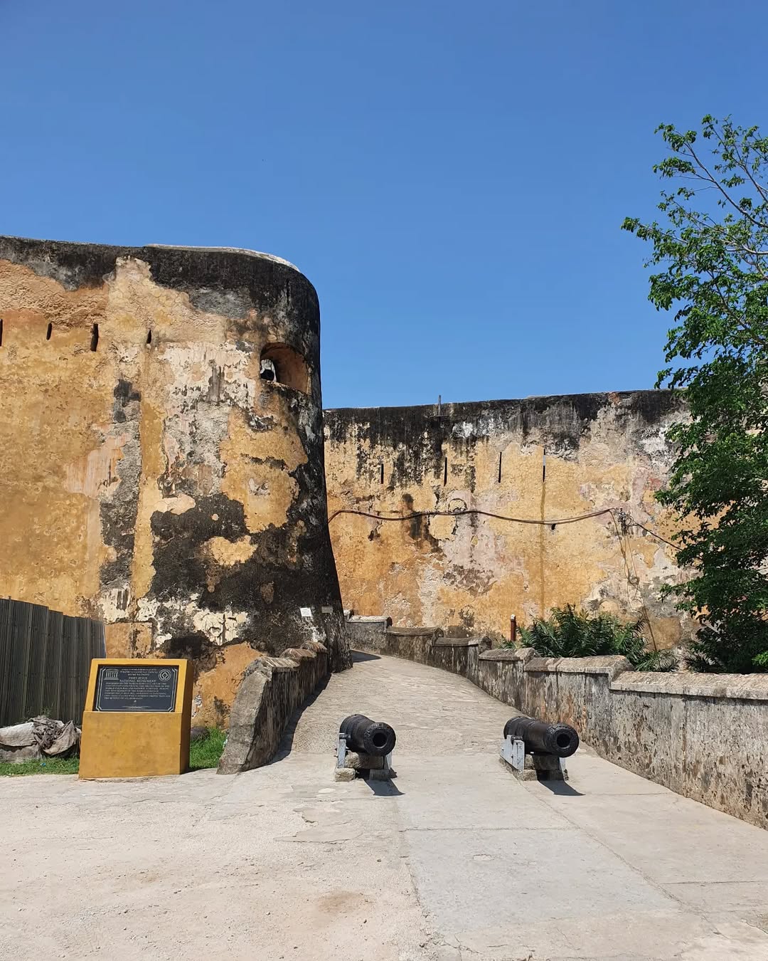 New museum fees from May 7