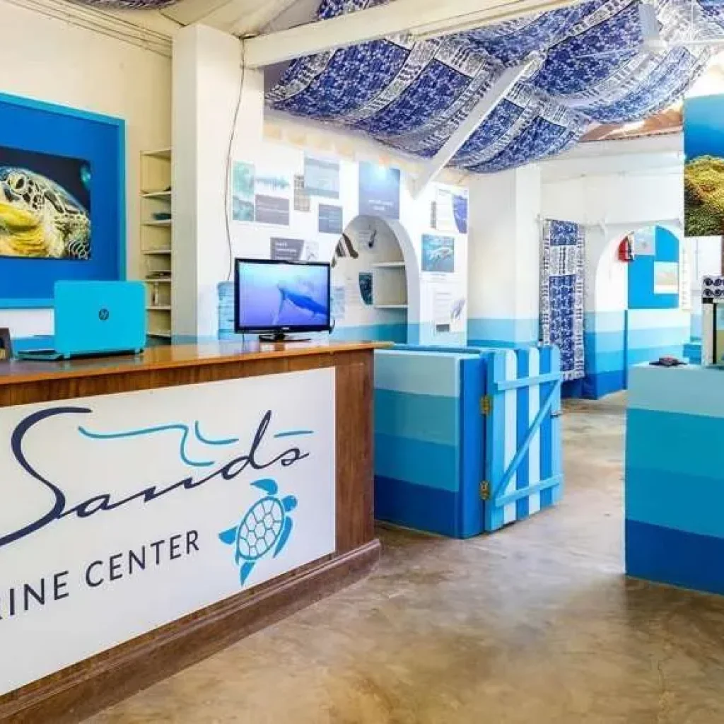 Interior of the Marine Education Centre at Nomad in Diani, home base for Diani Turtle Watch