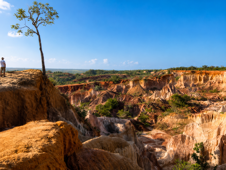 19 Best Things to Do in Malindi, Kenya