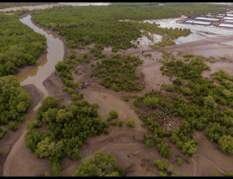 The Communities Restoring Kilifi’s Coast